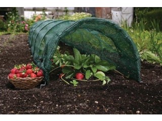 Haxnicks Easy Tunnel Net | Ready To Use Fold Out Design Shade Netting Garden Tunnel