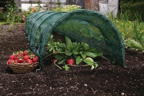 haxnicks-easy-tunnel-net-ready-to-use-fold-out-design-shade-netting-garden-tunnel-big-0