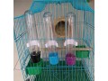 bird-food-water-dispenser-bird-water-bottle-parrot-automatic-water-feeder-water-drinker-small-4