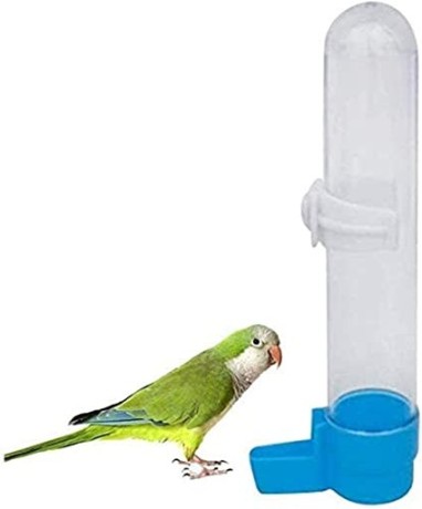 bird-food-water-dispenser-bird-water-bottle-parrot-automatic-water-feeder-water-drinker-big-0