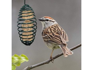 Chen0-super Bird Feeder Hanging Wild Bird Seed Feeder