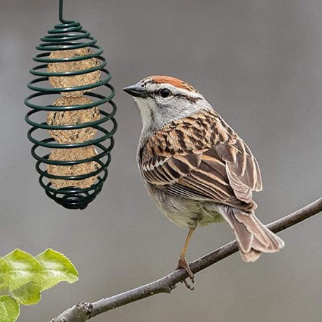 chen0-super-bird-feeder-hanging-wild-bird-seed-feeder-big-0