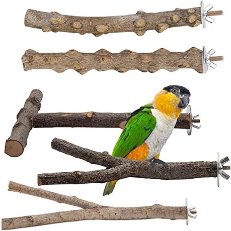 slatiom-5pcs-parrot-bird-perches-natural-wood-fork-standing-stick-cockatiel-parakeet-bite-claw-grinding-toy-bird-cage-accessories-big-2