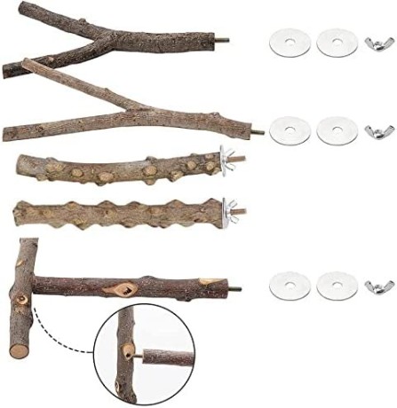 slatiom-5pcs-parrot-bird-perches-natural-wood-fork-standing-stick-cockatiel-parakeet-bite-claw-grinding-toy-bird-cage-accessories-big-0