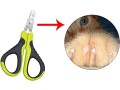 na-2-pcs-cat-nail-clippers-pet-claw-trimmer-pet-accessories-for-dog-cat-rabbit-bird-puppy-kitten-ferret-small-1