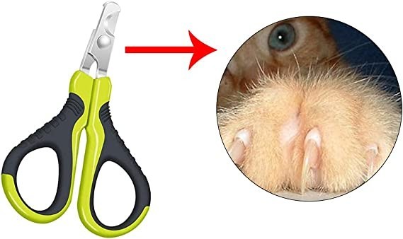 na-2-pcs-cat-nail-clippers-pet-claw-trimmer-pet-accessories-for-dog-cat-rabbit-bird-puppy-kitten-ferret-big-1