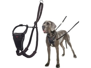 HALTI No Pull Harness Size Large, Professional Dog Harness to Stop Pulling on the Lead