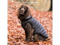 hugo-hudson-dog-puffer-jacket-clothing-accessories-for-dogs-reversible-water-resistant-dog-coat-with-collar-attachment-hole-black-grey-xs30-small-2