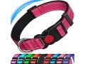 ateteo-dog-collar-reflective-adjustable-basic-dog-collar-with-soft-neoprene-paddingsmall-medium-large-dogshot-pinkhot-pink-small-3