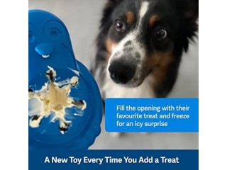 PetSafe Freezable Treat Food Dispensing Chew Toy, Medium/Large, Chilly Penguin