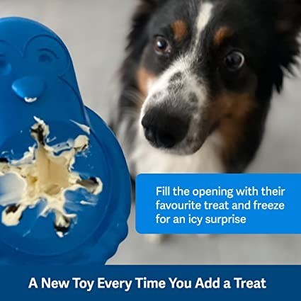 petsafe-freezable-treat-food-dispensing-chew-toy-mediumlarge-chilly-penguin-big-0