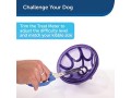 petsafe-busy-buddy-kibble-nibble-ml-interactive-meal-dispensing-dog-toy-feeder-ball-for-medium-and-large-dogs-purple-small-0