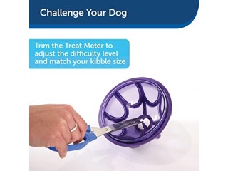 PetSafe Busy Buddy Kibble Nibble M/L, Interactive Meal Dispensing Dog Toy, Feeder Ball for Medium and Large Dogs, Purple
