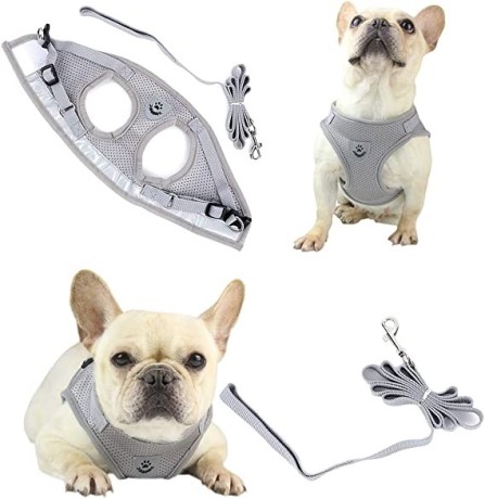 soft-mesh-reflective-harness-and-lead-set-safe-walking-jacket-for-outdoor-training-walk-small-dogs-puppy-kitten-big-2