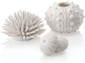 biorb-sea-urchin-set-white-small-1