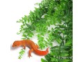 pinvnby-reptile-plants-hanging-fake-vines-boston-climbing-terrarium-plant-with-suction-cup-small-2