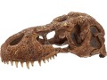 exo-terra-t-rex-skullbrown-small-2