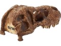 exo-terra-t-rex-skullbrown-small-1