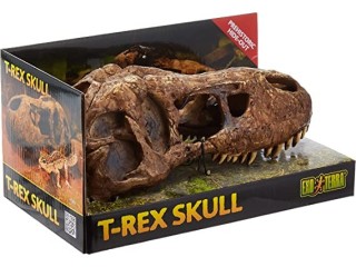 Exo Terra T Rex Skull,Brown