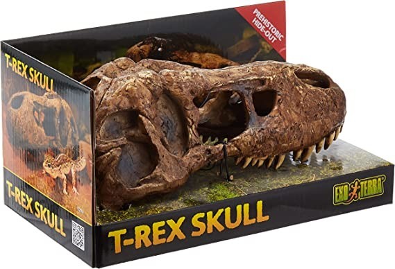 exo-terra-t-rex-skullbrown-big-0