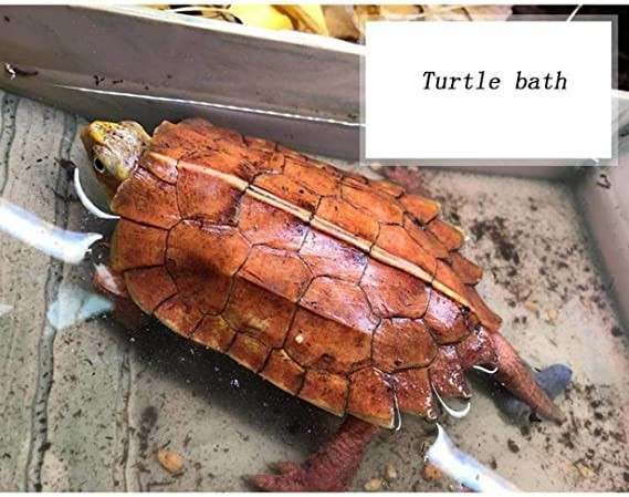 jbldy-plastic-large-tortoise-reptile-box-water-turtle-ladder-cask-basin-horned-frog-lizard-snake-basinwood-grainone-size-big-1