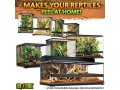 exo-terra-glass-terrarium-kit-for-reptiles-and-amphibians-nano-8-x-8-x-8-inches-pt2599a1-small-3