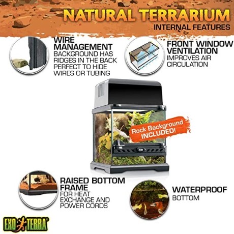 exo-terra-glass-terrarium-kit-for-reptiles-and-amphibians-nano-8-x-8-x-8-inches-pt2599a1-big-0