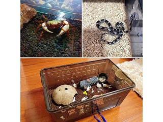 Kathson Portable Reptile Terrarium Habitat for Mini Pet Houses (Black)