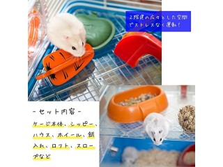 Ferplast Hamster Cage DUNA FUN, Small Animal Cage, Sturdy Accessories Included, 71,5 x 46 x 41 cm