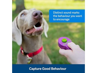 PetSafe Clik-R Training Tool, Training Clicker for Dogs, Reinforces Positive Behaviour