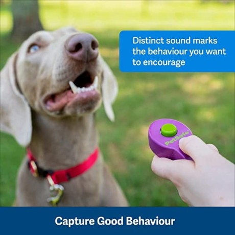 petsafe-clik-r-training-tool-training-clicker-for-dogs-reinforces-positive-behaviour-big-0