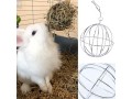 2-pieces-rabbit-hay-feeder-rabbit-hay-ball-stainless-rabbit-grass-ball-pet-hay-rack-bowl-accessories-for-guinea-pig-small-animal-pet-small-2