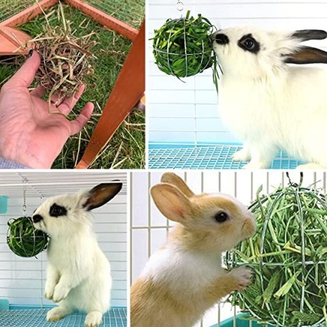 2-pieces-rabbit-hay-feeder-rabbit-hay-ball-stainless-rabbit-grass-ball-pet-hay-rack-bowl-accessories-for-guinea-pig-small-animal-pet-big-1