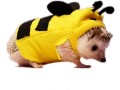 haichen-tec-hedgehog-clothes-bee-costume-small-animal-apparel-polar-fleece-material-handmade-hedgehog-hoodie-small-0