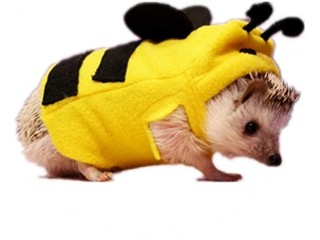 HAICHEN TEC Hedgehog Clothes Bee Costume Small Animal Apparel Polar Fleece Material Handmade Hedgehog Hoodie