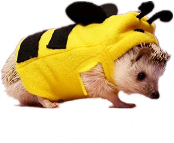 haichen-tec-hedgehog-clothes-bee-costume-small-animal-apparel-polar-fleece-material-handmade-hedgehog-hoodie-big-0