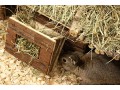 nature-first-wooden-hayrack-suitable-for-small-animal-habitats-small-2