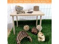 kathson-hamster-wooden-play-platform-pet-stand-platform-natural-wood-pet-house-small-1