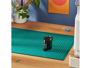 Epson T1291 Black Apple Genuine DURABrite Ultra Ink Cartridge