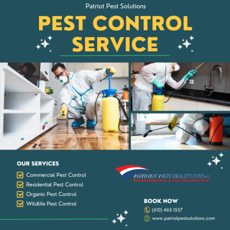 your-trusted-partner-for-pest-control-patriot-pest-solutions-in-amity-big-0