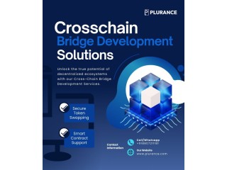 Plurances Cross-Chain Bridge Development: Bridging the Future of Decentralized Finance