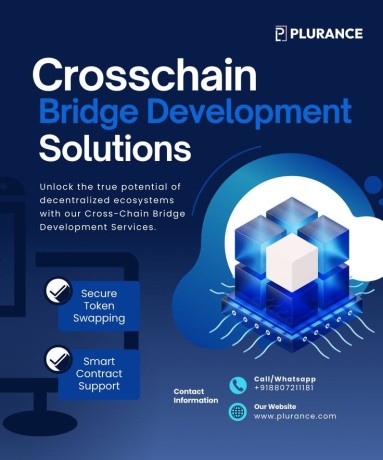 plurances-cross-chain-bridge-development-bridging-the-future-of-decentralized-finance-big-0