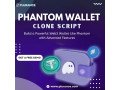 create-a-next-gen-solana-based-wallet-using-phantom-wallet-clone-script-small-0