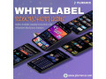 accelerate-revenue-growth-with-turnkey-blockchain-gaming-platforms-small-0
