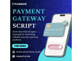investor-ready-payment-gateway-script-for-high-revenue-fintech-ventures-small-0