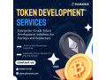 launch-your-decentralized-vision-dao-and-protocol-token-development-small-0