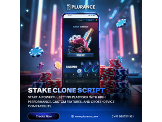 All-in-One Stake Clone Script for Fast, Profitable Casino Launch