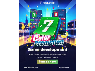 Step Into the Future of Digital Gaming with Custom Color Prediction Game Development