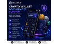 why-choose-a-professional-crypto-wallet-development-company-for-your-blockchain-business-small-0