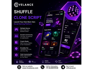 What Makes a Shuffle Clone Script Ideal for Entrepreneurs and Investors?